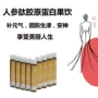 复合植物胶原蛋白果蔬汁口服液