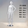 左叉腰踮脚（大胸款）