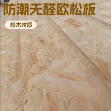 ENF���oȩ�W�ɰ� �������堝���׻���Ҿ߰�OSB�����ٻ���