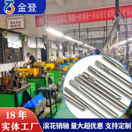 厂家定制销轴 304不锈钢单头实心高硬度压花玩具光轴车轴精密销轴