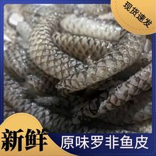 ݽ~Ƥʳě¾Ʋԭζr_~Ƥ~Ƥ