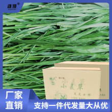 兔子干草2023年烘干小麦草龙猫荷兰猪牧草小麦新草1000g毛重批发