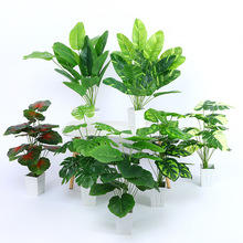 ����Gֲܛ�b�ٻ����滨�����쾰���W�L�Ҿ��b[�O�����~�G�}�~