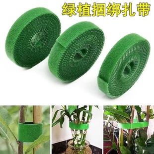 ֲ�ｉ����ճ����|������ɫ���������h�p�@�����������ħ�g�N