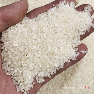 ll�������ι�u�����С���l���Z���i��~�~�D��C�ϏS����