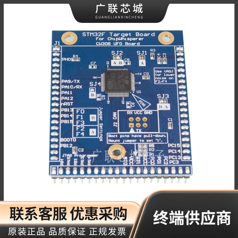 NAE-CW308T-STM32F3 开发板 - ARM STM32F3 Target for CW308