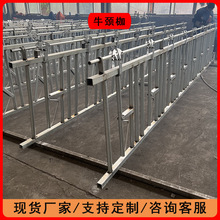 牛颈枷自锁式单双开牛颈夹牛场畜牧设备定位栏厂家定做畜牧机械