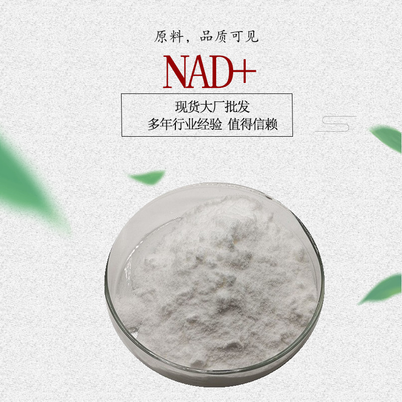 Nicotinamide Polypeptide Adenine Dinucleotide Nad+ Nadh