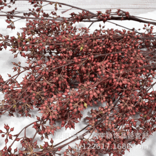 ����С�׹�ɭϵ�ɻ��滨֦�ưɼҾ��b���ϏS�����l