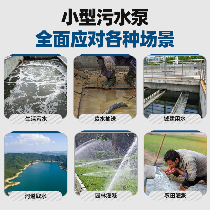 Bomba sumergible 220V bomba de bombeo doméstica de alta elevación gran flujo pequeña bomba de drenaje de lodo de drenaje de estiércol de riego agrícola