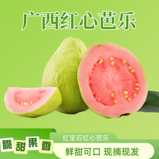 �V���t�İŘ�ܛŴ��ʯ5�����ЋD���rˮ�������������ˮ����