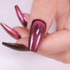 Nail stickers, fake nails for nails, cat's eye, wholesale