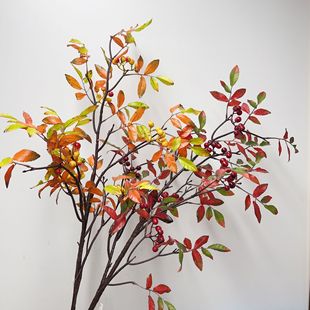 ��������滨�t���{���҃Ș�֦�[��������֦�����쾰�Ҿӹ����b�