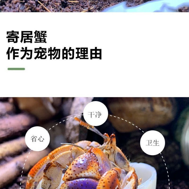 aaa71167-fad6-4c68-b1fb-2f10fa945821.jpe