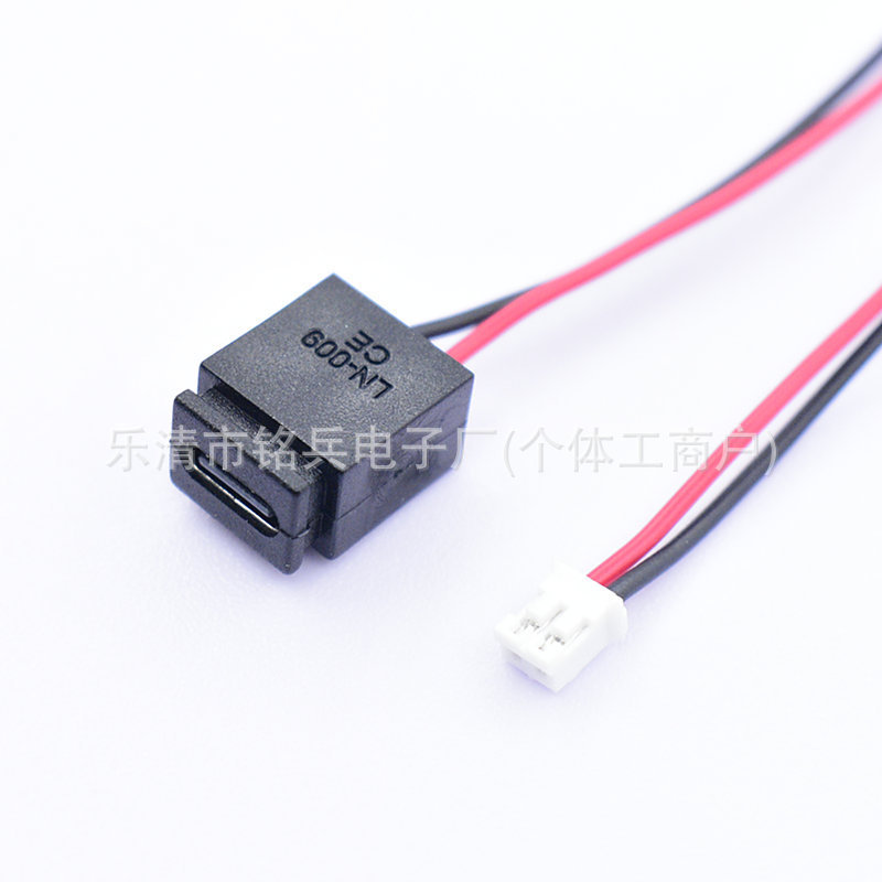 Reverse Charging TYPE-C Female Socket 2P Direct-Pressure Type Charging Socket with Board LN-009 USB-C Socket Connector