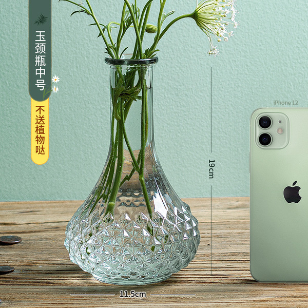 Madrid's French retro glass vase transparent small -caliber flower…
