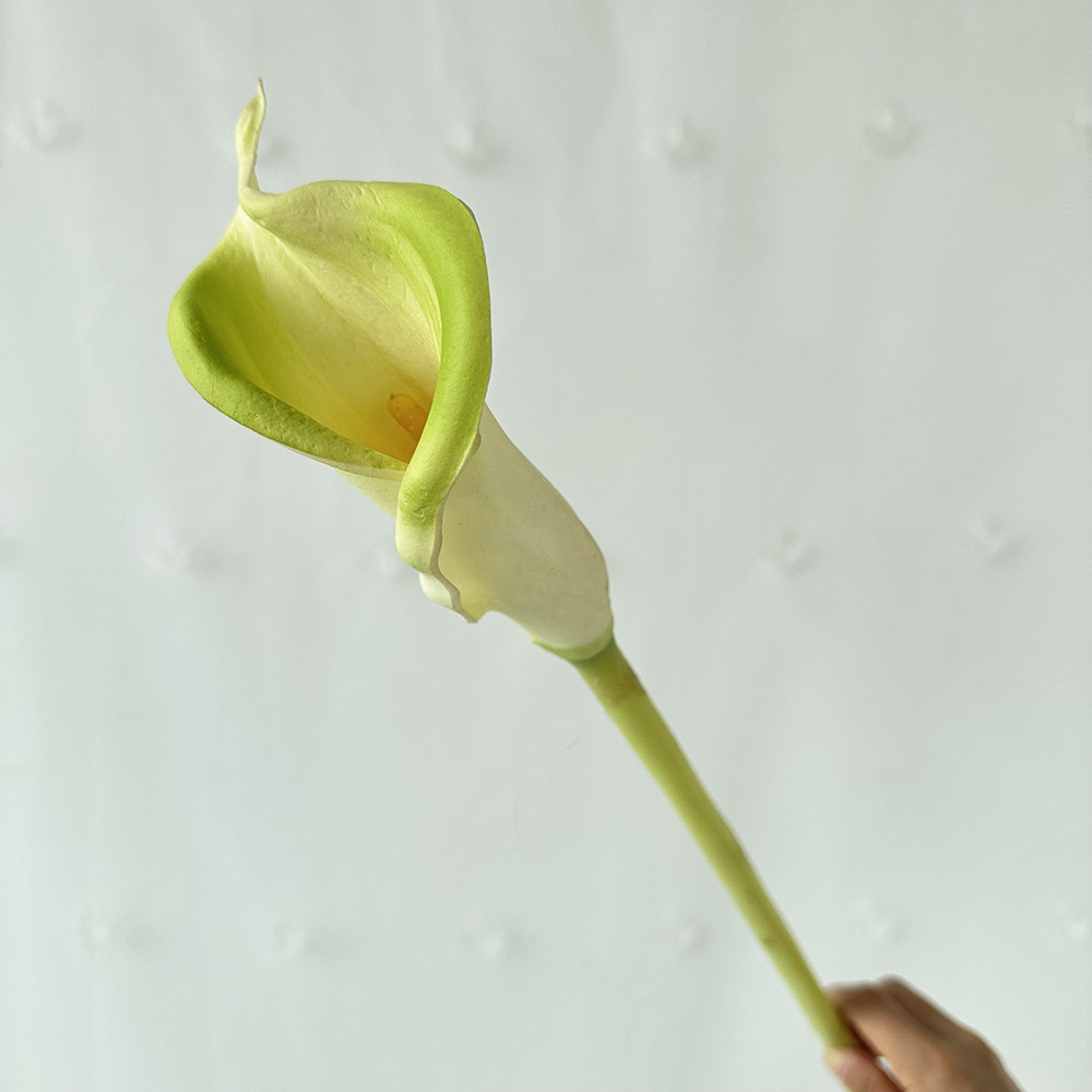 단일 PU 대형 말굽 밝은 녹색