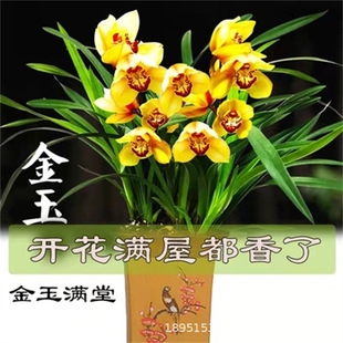 �������콭ѩ�m��������Ů���m���ļ��_���҃��m���Gֲ��������