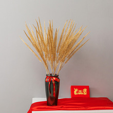 ����ɫ���滨�������ɫ�ȼ����y���~��������긣Ͱ�Ҿ��b���