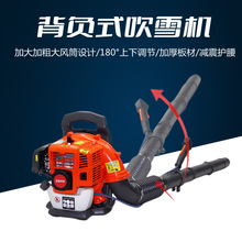 ����ʽ����ѩ�� �������� �����·�洵ѩ����·��Ҷ�����