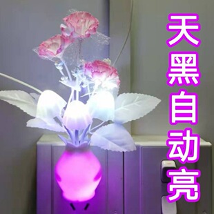 �R����Сҹ���߲ʝu׃led���ܹ�Б��냺ι�����Ҵ��^˯��2026