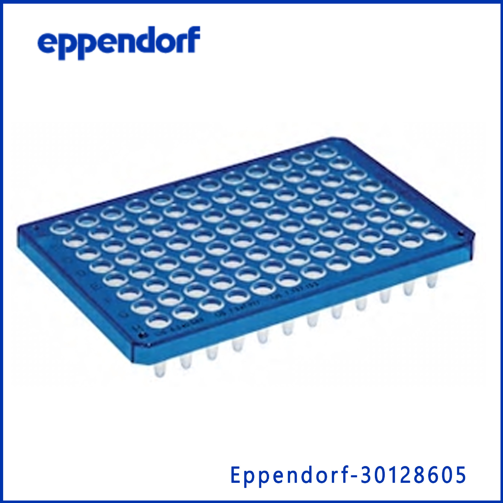 艾本德Eppendorf 30128605 twin.tec96孔PCR板， 半裙边(孔无色)