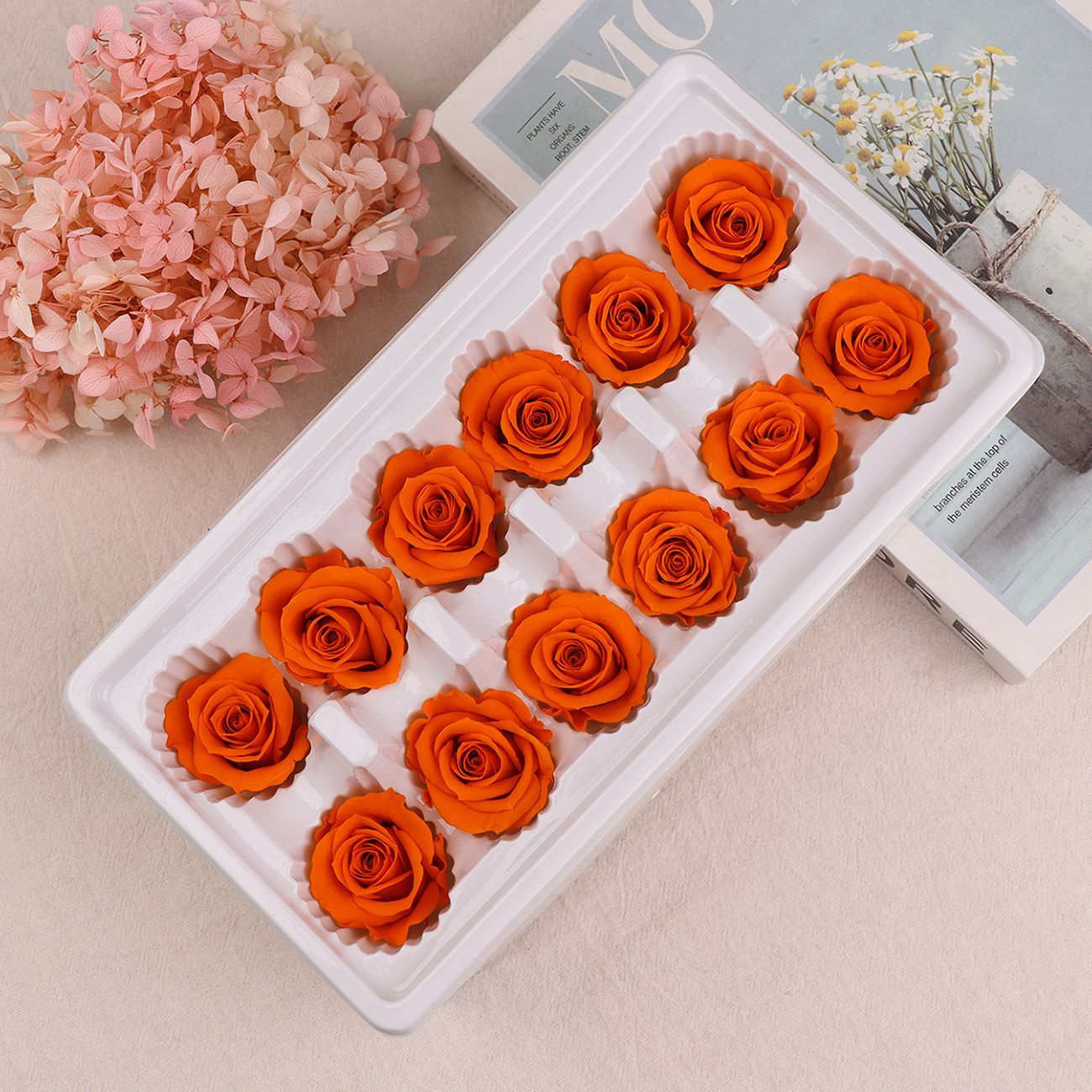 Cabezas de Rosa Eternas A+, 3-4 cm, 12 Piezas, Materiales para Manualidades Florales, Caja de Regalo, Fabricante, Venta al por Mayor