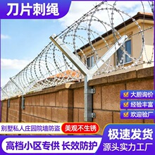 热镀锌 刀片刺绳 高档小区 别墅院墙 私人庄园防盗网 带刺铁丝网