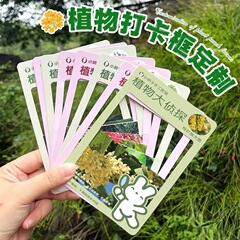 クリエイティブ PVC プラスチック中空植物カードクリエイティブポストカード印刷 diy 特殊形状プロモーション名刺チェックイン写真カード