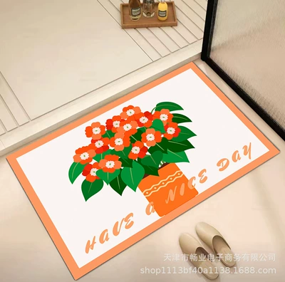 Avtomobil döşəmə paspasları – Carpet Bathroom Foot Mat Door - gzz-9-50x-80cm