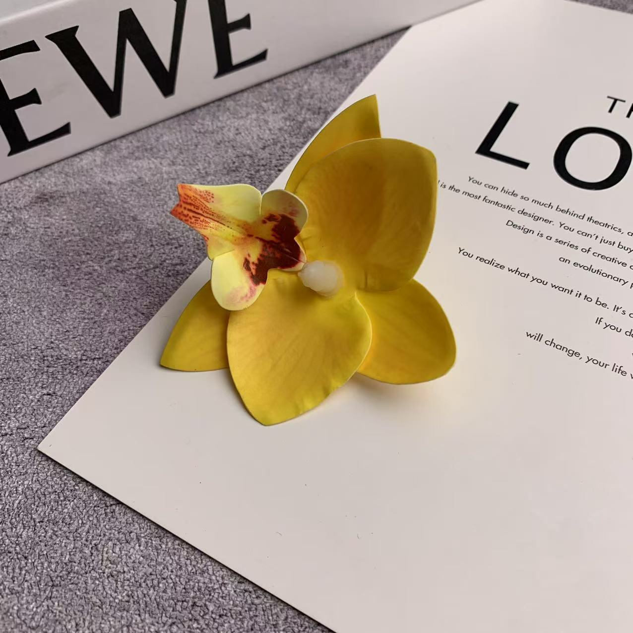 미니 호접란 꽃잎 노란색 4