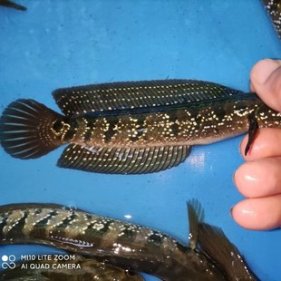 �����~#���������#�����~#ɽ���~#���k#������ˮ�~�ͻ��������