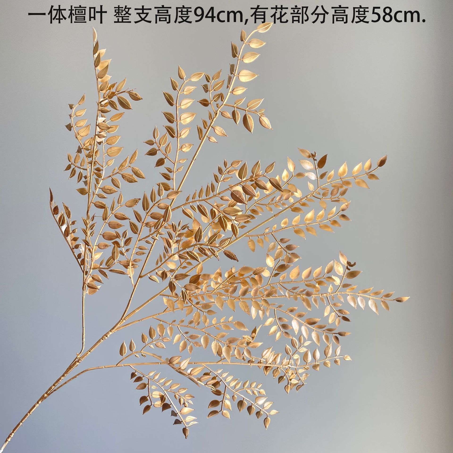 SKU06_颜色_一体檀叶