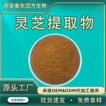 破壁灵芝孢子粉 灵芝提取物 10:1 多糖三萜 食品级原料 源头直供