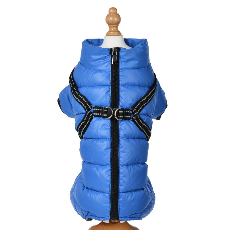 ペットの犬の服の胸と背中が一体になっています。|undefined