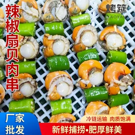 鱼类;贝类;软体类