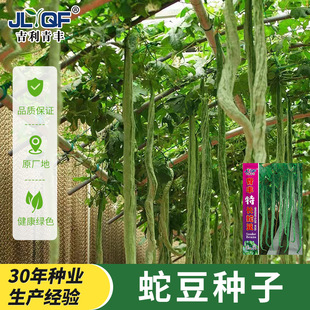 �߶��N���߹ϴ��ļ������^�pʳ�ú��J�̨ͥԺ�N���������߲˷N��