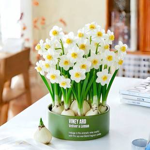 ��������ˮ�ɻ���Ʒˮ��ֲ���_������ζ�҃ȿ͏d�Gֲ������������