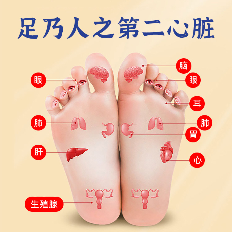 Pegatinas para pies de Evodia Old Beijing, caliente superior y frío, pegatinas para puntos de acupuntura de pies, ajenjo, polvo de Evodia, canela, punto de Yuanyuan Yongquan