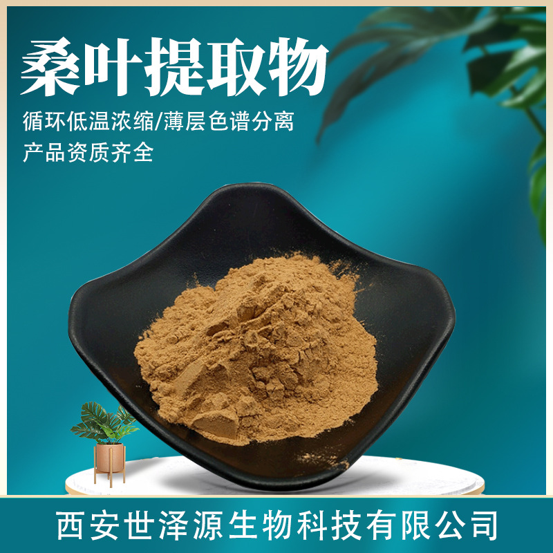 桑叶提取物 10∶1水溶性1-脱氧野尻霉素1-DNJ桑叶黄酮桑叶提取物