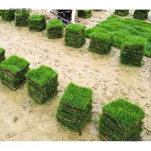 ���Ƥ��݄e��ͥԺ�G���R������̺���ͺ���ƺ���������̨��̫��