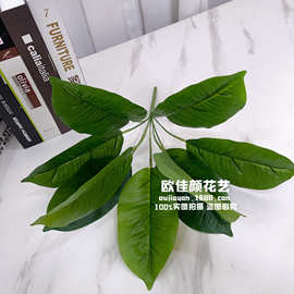 仿真植物墙绿植墙配材9叉鸡心叶把束过胶仿真叶子万年青绿萝叶批