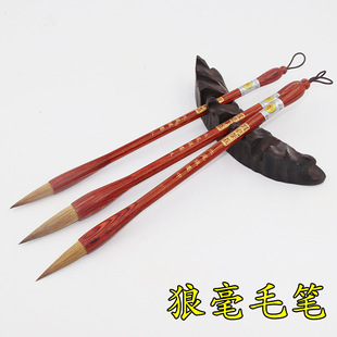 ��β�Ǻ�ë�P���˕������w�������W�߼t̴ľ�Ǻ����ë�P���b���l