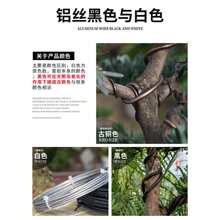 盆景造型专用铝丝铝线盘扎铝丝线蟠扎园艺铁丝花卉罗汉松定型吕丝