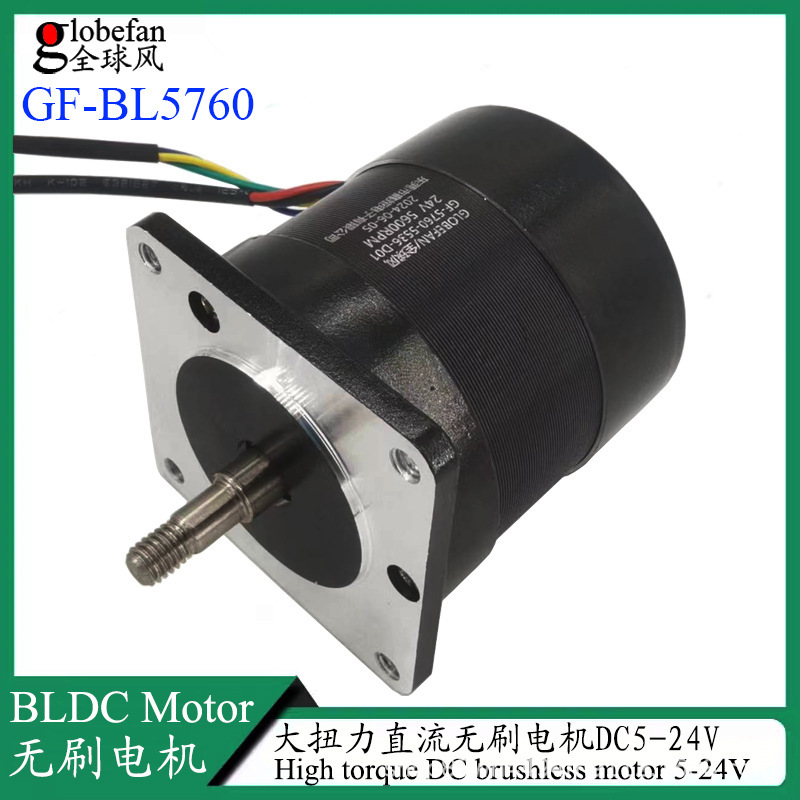 Globefan/Global Wind Bl5760 Purifier Electric Brushless Motor 24V Dc Motor 100W Silent