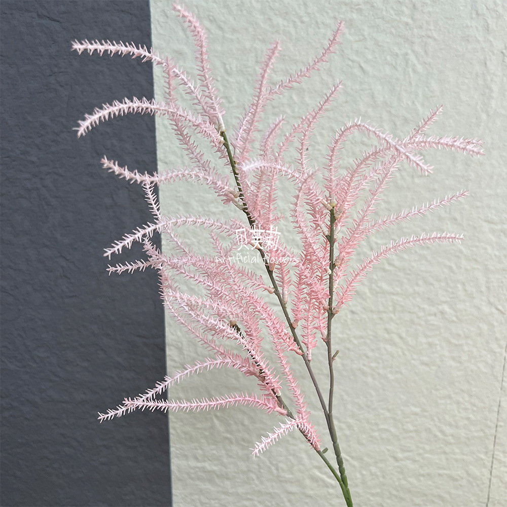 쇠고기 힘줄 잔디