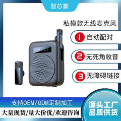クロスボーダーのプライベートモデルの無線スピーカー教師専用の無線bluetoothマイクガイドが携帯電話を宣伝します。