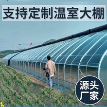 温室大棚骨架全套镀锌钢管家用农用种植养殖蔬菜猪鸡鸭舍厂家直销