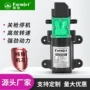 智能浇花灌溉电动水泵