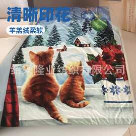 工厂数码双面绒羊羔绒小毯子仿棉绒毛毯加厚双层毛毯云貂绒
